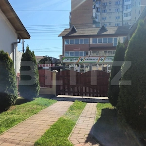 Oportunitate Unică  Vilă de Vis în Zona Centrala si doua spatii comerciale  - imagine 10