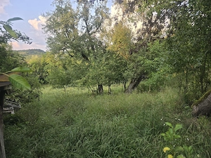 Vând teren intravilan în satul Văcarea, comuna Mihăești, în suprafață de 2.600 mp. - imagine 4