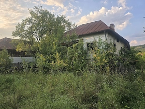 Vând teren intravilan în satul Văcarea, comuna Mihăești, în suprafață de 2.600 mp. - imagine 3