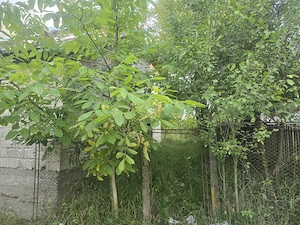 Vând teren intravilan în satul Văcarea, comuna Mihăești, în suprafață de 2.600 mp. - imagine 8