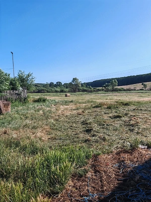 Proprietar   Vând Teren Intravilan 1,74 Ha și Grajd la Șosea, Comuna Bata, Jud. Arad - imagine 4