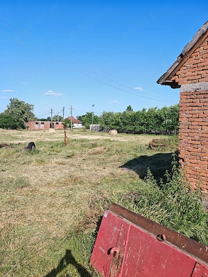 Proprietar   Vând Teren Intravilan 1,74 Ha și Grajd la Șosea, Comuna Bata, Jud. Arad - imagine 5