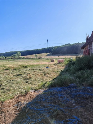 Proprietar   Vând Teren Intravilan 1,74 Ha și Grajd la Șosea, Comuna Bata, Jud. Arad - imagine 2