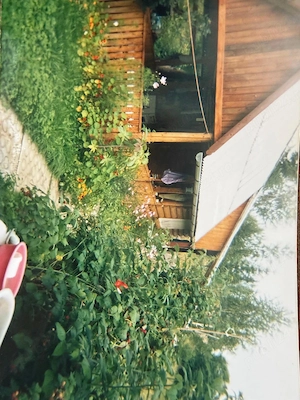 Casa de Vacanta - Toplita, Harghita - imagine 4