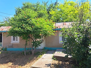 Casa de vanzare Valea Nucarilor (Tulcea) - 2000 mp teren - imagine 2
