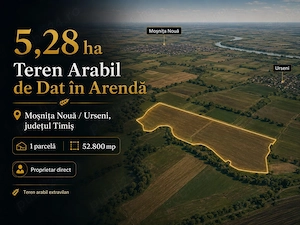 Proprietar dau în arendă 5,28 ha teren arabil - Moșnița Nouă - Urseni, Timiș