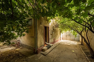 FERDINAND - PICTOR ION ANDREESCU, VILA INTERBELICA 211 MP TOTAL, LOT 460 MP! - imagine 10