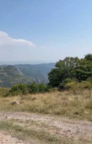 Teren extravilan de vânzare   Râmeț, județul Alba | 600 mp - imagine 2