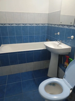 Proprietar ofer spre inchiriere apartament 2 camere decomandat la et1 zona Lotus2 Emanuel - imagine 4