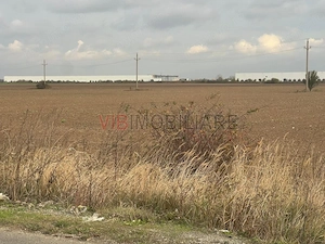 TEREN INDUSTRIAL 22.800 MP | CTPARK BUCHAREST WEST | KM 23 A1 | JOIȚA - imagine 6