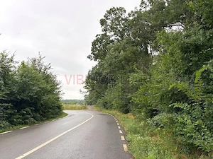 Teren cu vedere la padure – Snagov, Ghermanesti, Str. Razboieni, loturi disponibile si separat
