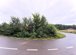 Teren cu vedere la padure – Snagov, Ghermanesti, Str. Razboieni, loturi disponibile si separat - imagine 4
