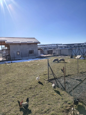 Teren intravilan 500 mp, Tărlungeni izvor  - imagine 4