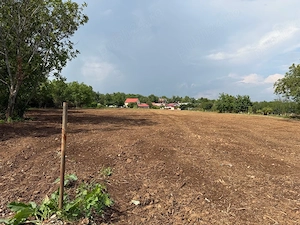 Proprietar - Teren Rezidențial 2101 mp Băicoi (Fundătura Siderurgiei) - POT 40%