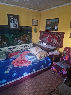 Vand casa Oras Insuratei Judetul Braila - imagine 2