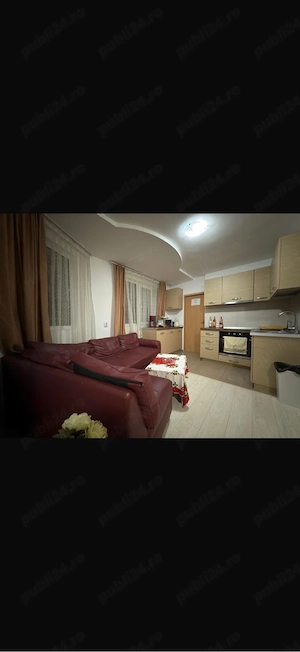 Se oferă spre închiriat cabană în Maramureș, Vișeu de Jos. - imagine 2