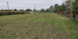 Teren 5000 mp Gorgota - Crivina, PH | Deschidere 25m | Utilități la poartă & Livadă - imagine 4