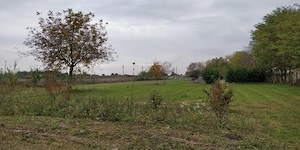 Teren 5000 mp Gorgota - Crivina, PH | Deschidere 25m | Utilități la poartă & Livadă - imagine 5