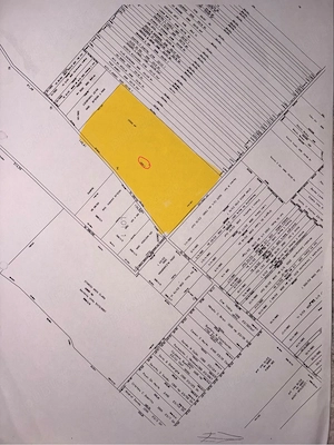 Teren intravilan de vânzare   Snagov | 25000 mp - imagine 2