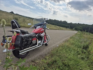 vand kawasaki vulcan 1500 clasic