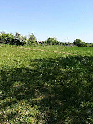 Proprietar Vand teren intravilan 4000 mp , Sat.Podu ilfovatului (com.Buturugeni Gr.) 40 km de Buc. , - imagine 3