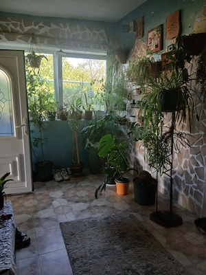 Casă la țară cu teren generos și gospodărie completă - imagine 3