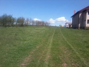 Proprietar Vand teren intravilan 4000 mp , Sat.Podu ilfovatului (com.Buturugeni Gr.) 40 km de Buc. , - imagine 8