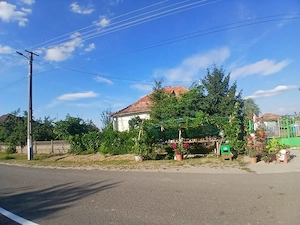 Casă la țară cu teren generos și gospodărie completă - imagine 8