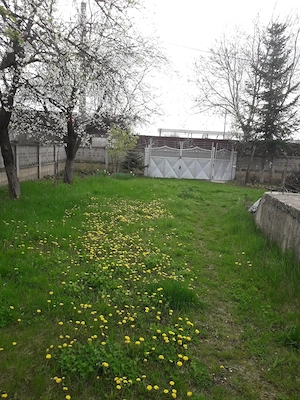 Vând grădină în Tg.Frumos - imagine 4