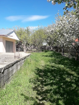 Vând grădină în Tg.Frumos - imagine 6