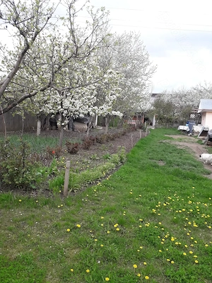 Vând grădină în Tg.Frumos - imagine 10