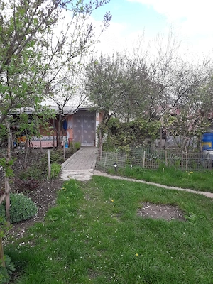 Vând grădină în Tg.Frumos - imagine 5
