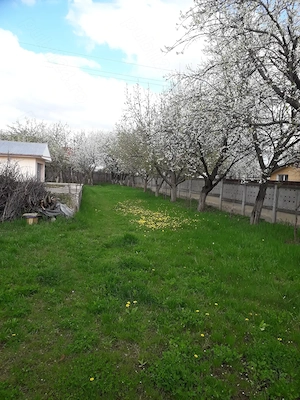 Vând grădină în Tg.Frumos - imagine 2