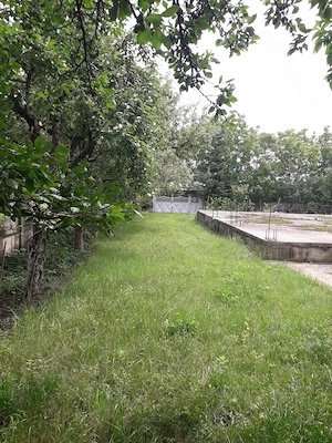 Vând grădină în Tg.Frumos - imagine 8