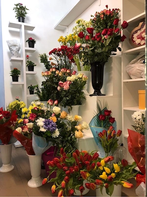 Vand mobila florarie