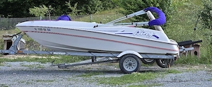 barca  jet 4.5m 