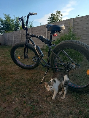 Bicicletă Pegas Cutezător echipată - imagine 2