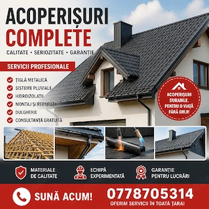 Constructii si reparații acoperișuri-PRETURI AVANTAJOASE 