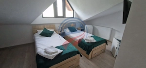 Pensiune  în Călimănești + 2 A-Frame - Teren 5.574 mp - Bonus Mercedes 350d - imagine 9
