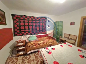 CASA DE VANZARE 3 CAMERE - IN SCAIESTI  - DOLJ - imagine 2