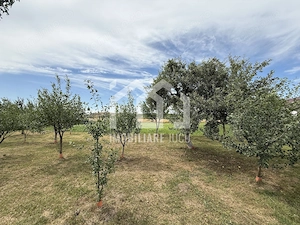 Teren intravilan – 1.945 mp | Fundătura, comuna Iclod - imagine 2