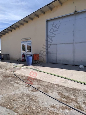 Ferma Zootehnică– Satchinez,  | 9,5 ha teren,vanzare sau schimb pentru jumatate din valoare - imagine 4