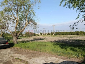 Ferma avicola inchiriere sau vanzare, localitatea Calacea - imagine 3
