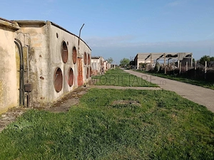 Ferma avicola inchiriere sau vanzare, localitatea Calacea - imagine 4