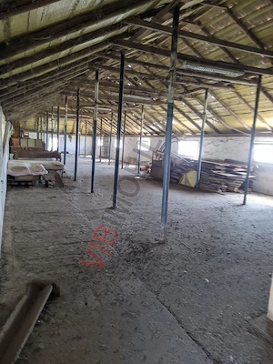 Ferma Zootehnică– Satchinez,  | 9,5 ha teren,vanzare sau schimb pentru jumatate din valoare - imagine 2