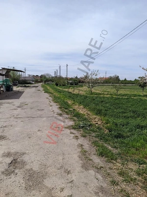 Ferma Zootehnică– Satchinez,  | 9,5 ha teren,vanzare sau schimb pentru jumatate din valoare