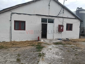 Ferma avicola pe profit, judetul Bihor-Oradea - imagine 8