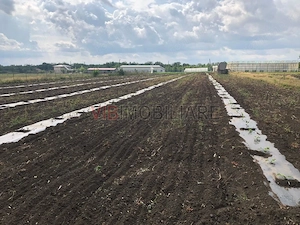 Fermă de vânzare 3 ha ,Exploatație agricolă și zootehnică - imagine 3