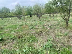Ferma zootehnica mixta de VANZARE SAU INCHIRIAT in judetul Vrancea - imagine 2