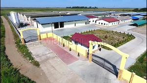 *Fermă modernă pentru export miei | 6 ha | Standarde europene | Aproape de Brăila* - imagine 14